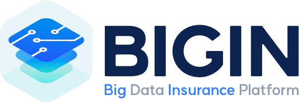 BIGIN 보험정보 빅데이터 플랫폼 로고
